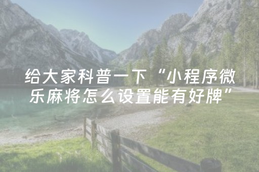 新版本“雀神广东麻雀辅助器”（详细透视教程）-哔哩哔哩