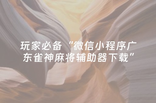 新版本“麻将机解码器的使用方法”（详细透视教程）-哔哩哔哩