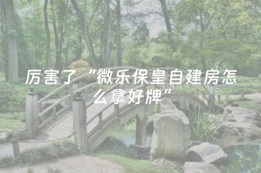 3分钟学会“下载微乐插件（专用辅牌神器免安装）