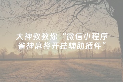 分享辅助“网页版扑克辅助（助赢神器通用版）