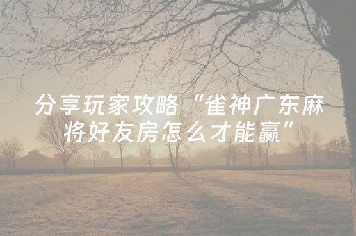 实测辅助“麻将机程序安装电话（专用辅牌神器免安装）