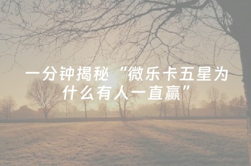 玩家必看攻略“微乐辽宁麻将专用神器（专用辅牌神器免安装）