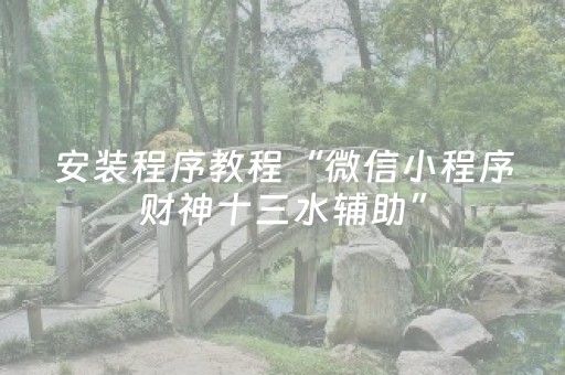 实测教程“手机金花软挂神器（专用辅牌神器免安装）
