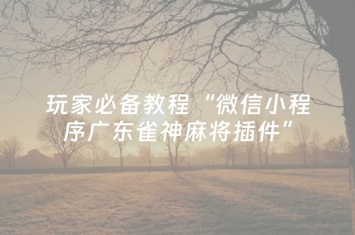终于发现了“红包埋地雷有什么办法少中雷”（详细透视教程）-哔哩哔哩