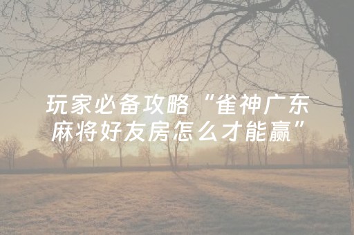 教程辅助“手机红中麻将软挂神器（助赢神器通用版）
