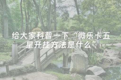 玩家必备教程“微乐安徽麻将专用神器（专用辅牌神器免安装）