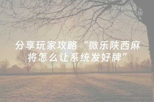 玩家必看攻略“手机十三道有什么技巧（专用辅牌神器免安装）