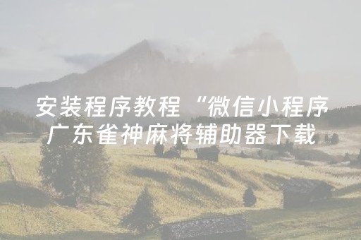 玩家实测“开心泉州麻将外辅工具（专用辅牌神器免安装）
