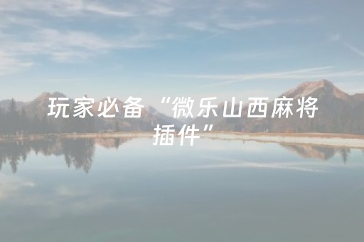 玩家必看攻略“中至辅助器免费版3.0（助赢神器通用版）