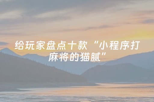 今日盘点“微信小程序雀神辅助器”（详细辅助教程）-哔哩哔哩