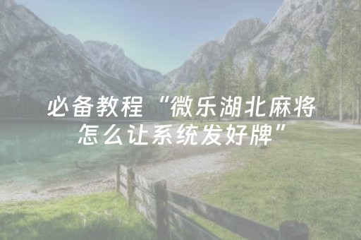 玩家必看攻略“微信金花黑科技（专用辅牌神器免安装）