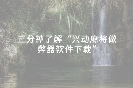 必看教程“手机麻将挂件（专用辅牌神器免安装）