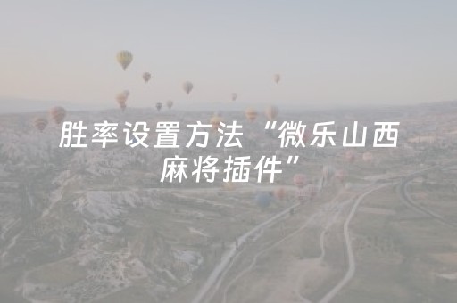 胜率设置方法“微乐麻将挂先试用后付款（专用辅牌神器免安装）