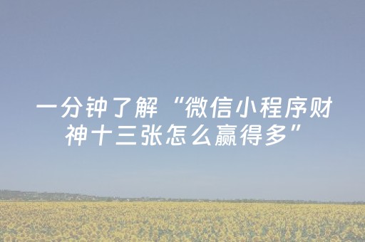 分享辅助“情怀麻将控牌器（助赢神器通用版）