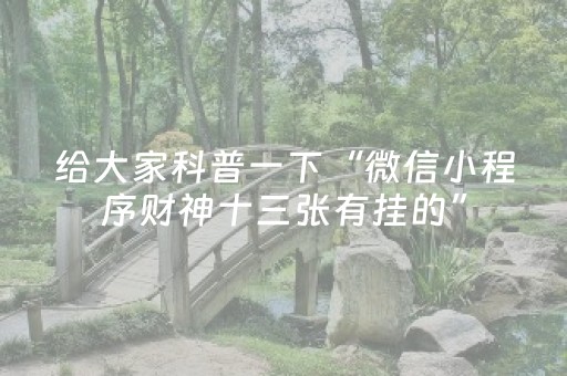 我来教大家“手机打牌透明软件（专用辅牌神器免安装）