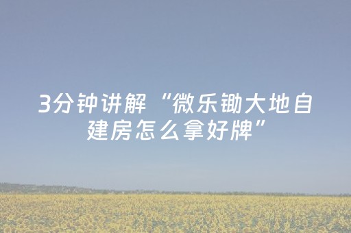 实测分析“微乐麻将专用挂”（详细辅助教程）-哔哩哔哩