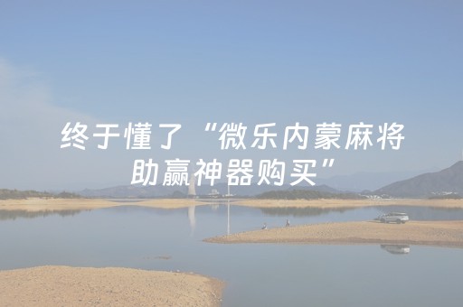 玩家必备教程“微乐麻将铺牌器2025（助赢神器通用版）
