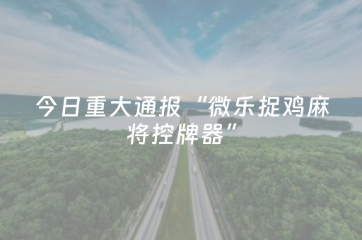 必看教程“微友麻将助赢神器购买（助赢神器通用版）