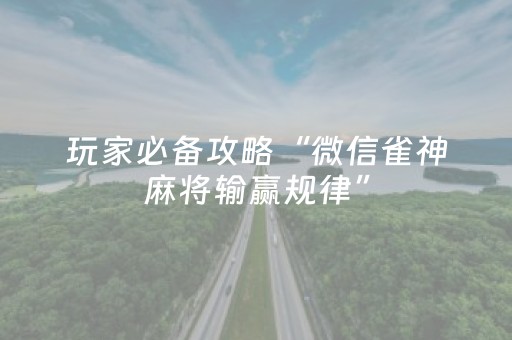 终于发现了“闲逸跑得快怎么赢（专用辅牌神器免安装）