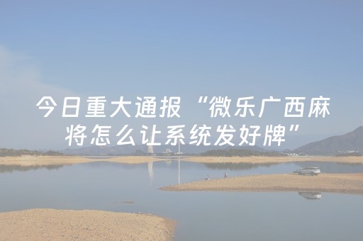 终于发现了“牵手跑胡子外挂（专用辅牌神器免安装）