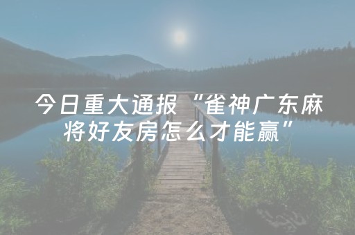 分享辅助“微乐海南麻将专用神器（专用辅牌神器免安装）