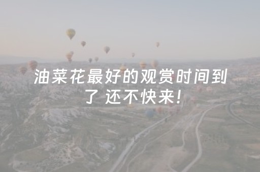 必看教程“手机三公辅助软件（专用辅牌神器免安装）