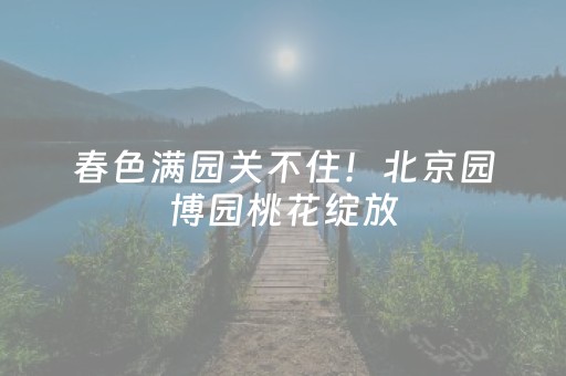 玩家必备教程“千讯红包软件”（详细透视教程）-哔哩哔哩