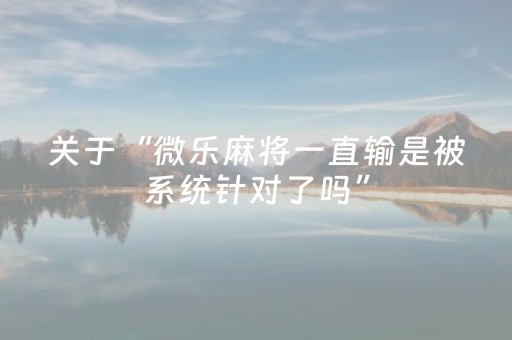 实测辅助“麻将机装了程序怎么鉴别（专用辅牌神器免安装）