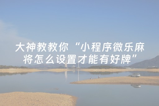 玩家实测“蜀山四川麻将助赢神器（助赢神器通用版）