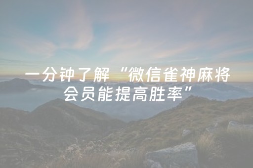 实测教程“心悦麻将软挂神器（专用辅牌神器免安装）