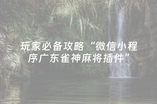 实测辅助“家乡大贰如何开挂”（详细透视教程）-哔哩哔哩