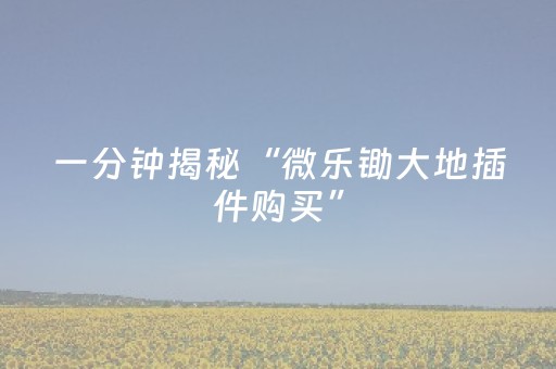 一分钟揭秘“微乐锄大地插件购买”（必赢神器辅助器)