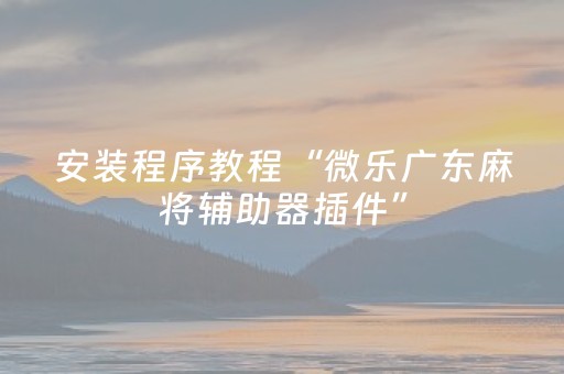 安装程序教程“微乐广东麻将辅助器插件”（控牌神器)