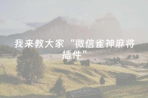 今日实测“微乐麻将助赢神器”（详细透视教程）-哔哩哔哩