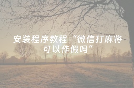 实测教程“雀神辅助器苹果版（专用辅牌神器免安装）