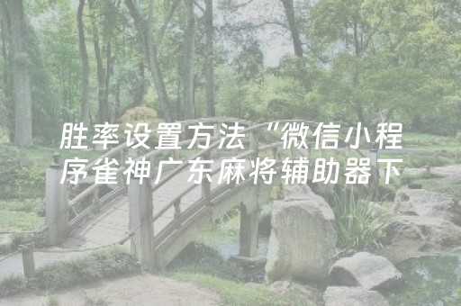 3分钟学会“大头十三水刷好牌（专用辅牌神器免安装）