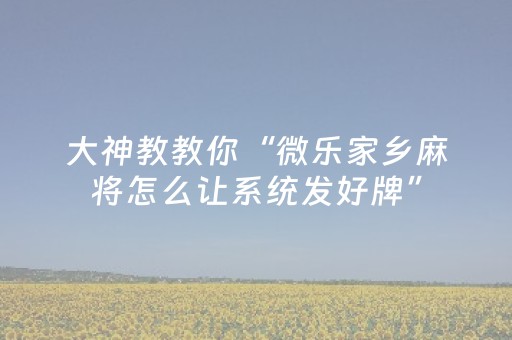 教程辅助“微乐安徽麻将跑得快有挂吗（助赢神器通用版）
