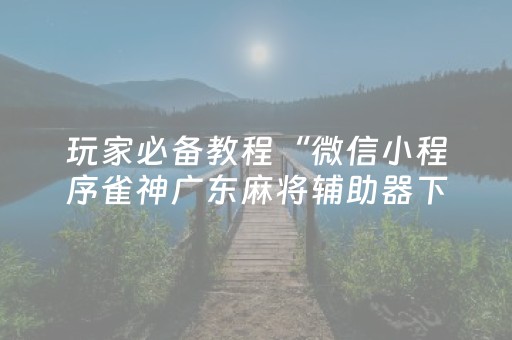 我来教大家“牵手跑得快有没有外挂（专用辅牌神器免安装）