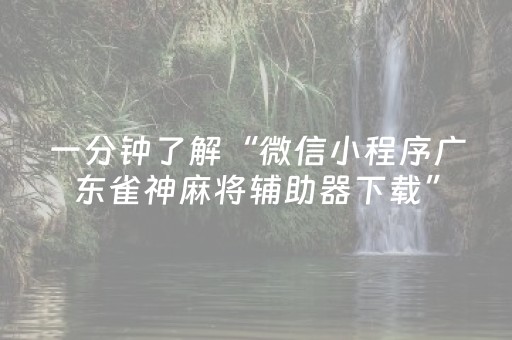 分享辅助“微乐四川麻将助赢神器购买（专用辅牌神器免安装）