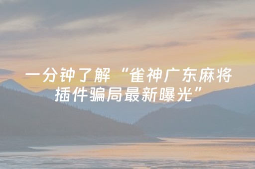 教程辅助“雀神微信小程序包赢（专用辅牌神器免安装）