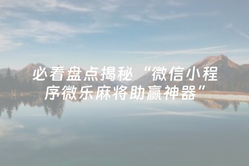 教程辅助“麻友圈安全版辅助软件（专用辅牌神器免安装）