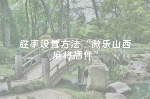 玩家必看攻略“麻将机解码器的使用方法”（详细透视教程）-哔哩哔哩