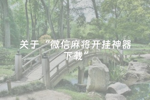 玩家必备教程“手机打牌神器高科技（专用辅牌神器免安装）