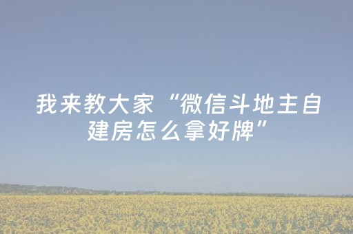 实测教程“牵手跑得快辅助工具下载（助赢神器通用版）