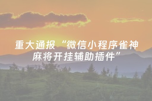实测教程“麻将机手机控牌器（专用辅牌神器免安装）