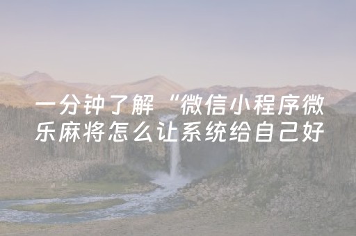 必看教程！“决胜麻将作敝神器”（详细开挂教程）-哔哩哔哩