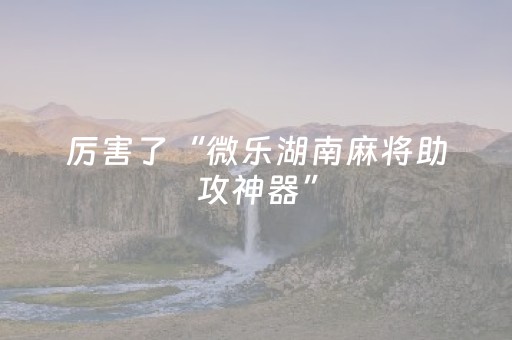 厉害了“微乐湖南麻将助攻神器”（助赢神器)
