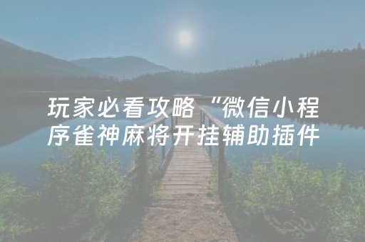 3分钟学会“打哈儿麻将挂的使用方法”（详细透视教程）-哔哩哔哩