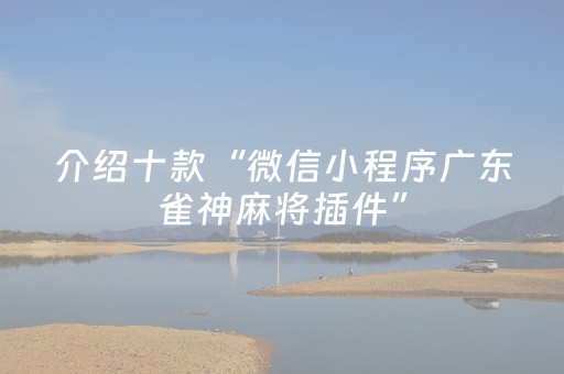 实测分享“闲逸跑得快神器通用版（专用辅牌神器免安装）