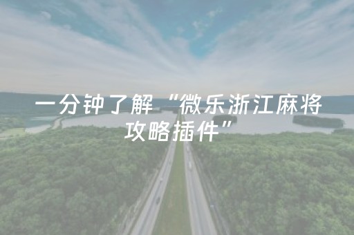 必看教程“微乐挂先试用后付款（助赢神器通用版）